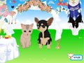 PET-Wedding Dress Up Spiel