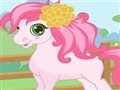 Cutie Pony Pflege Spiel